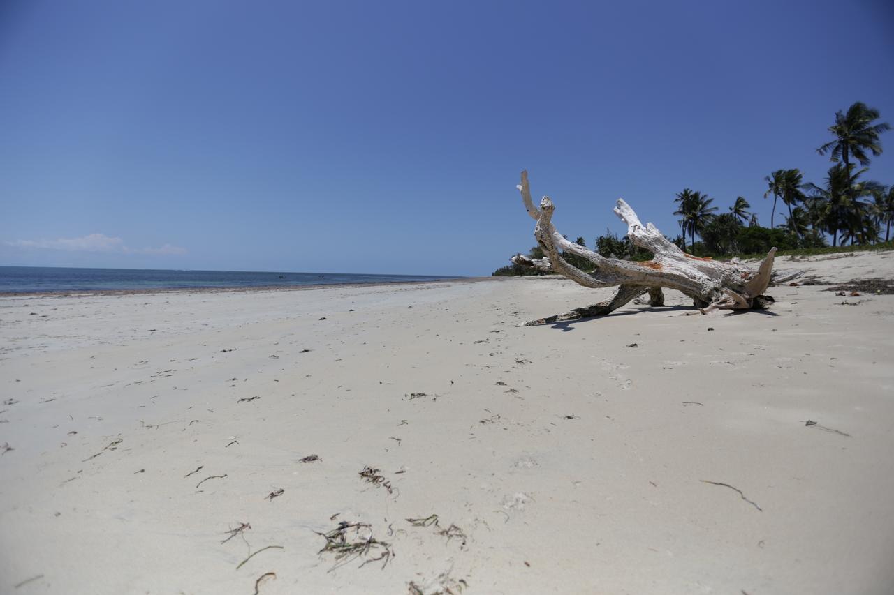 The Beach Crab Resort Pangani Exterior foto